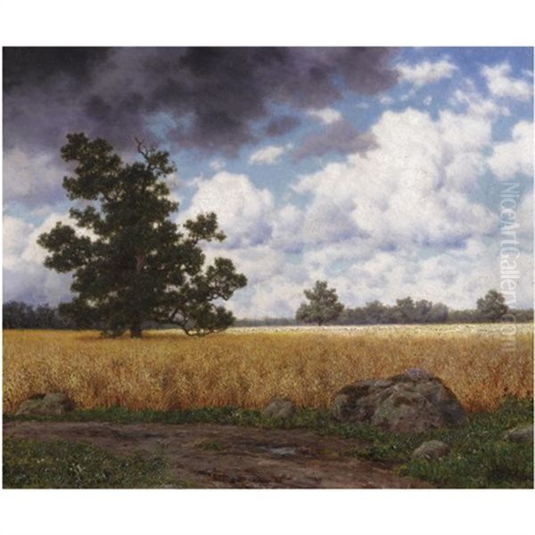 Wheatfields - view 1