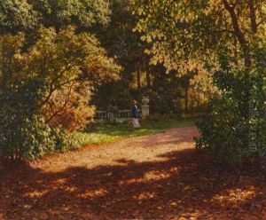 Sommerliche Parklandschaft Sommerliche Parklandschaft