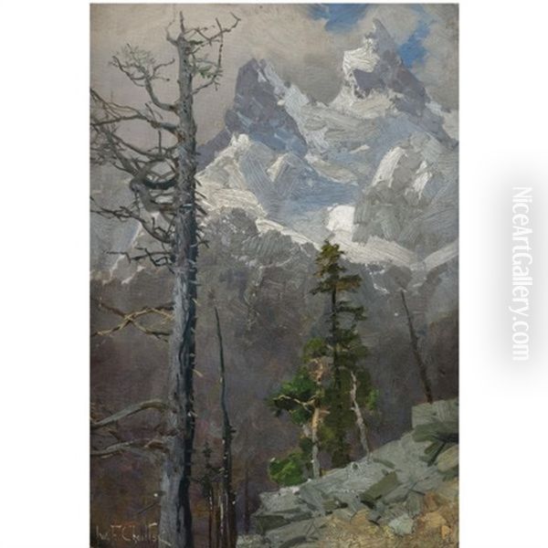 Mountain Landscape - view 1