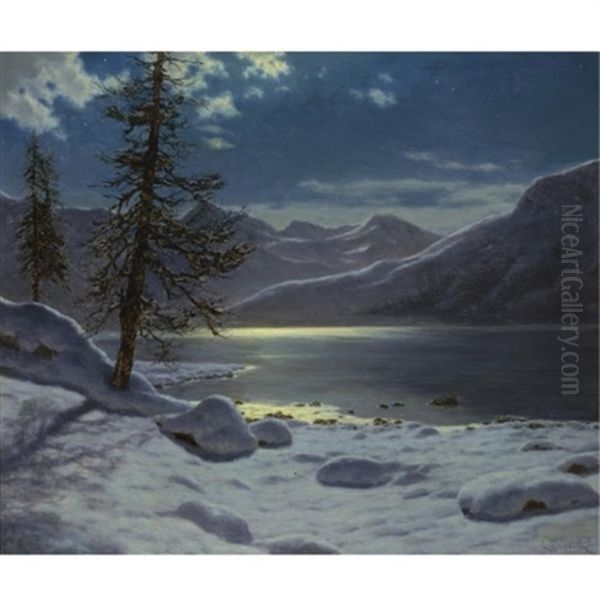 Moonlit Lake. Winter - view 1