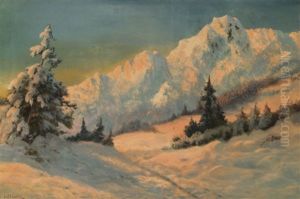 Snowy Alpine Scene Snowy Alpine Scene