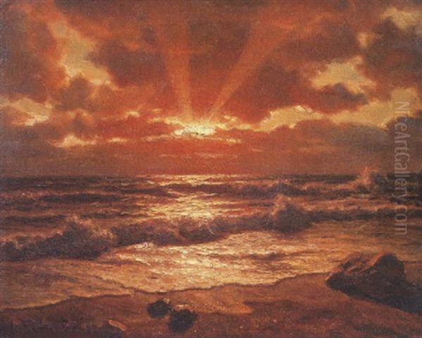 Derniers Rayons - view 1