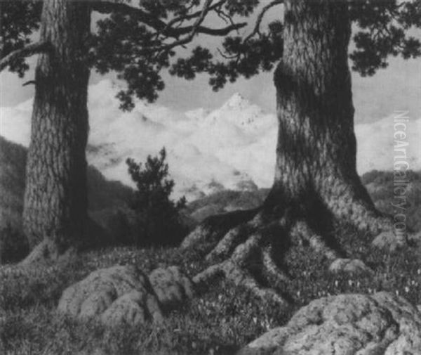 Printemps Dans Le Haute Montagne, Suisse - view 1