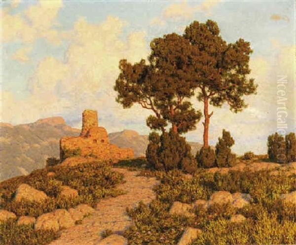 Golden Light On Provence - view 1