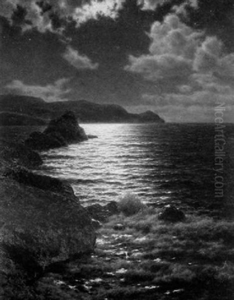 The Moonlit Shore - view 1