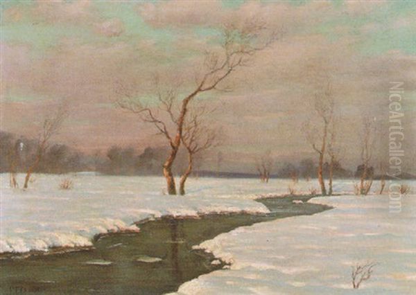 Golden Light On A Snow Covered Landscape With Stream - view 1