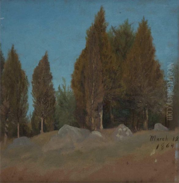 Pine Tree Grove - view 1