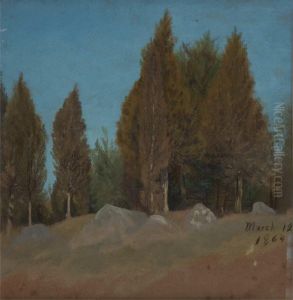 Pine Tree Grove by Frank Anderson