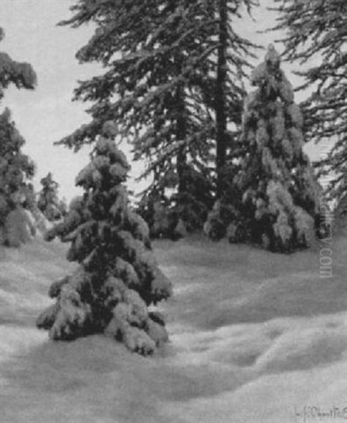Winter Sun, Haute Savoie - view 1