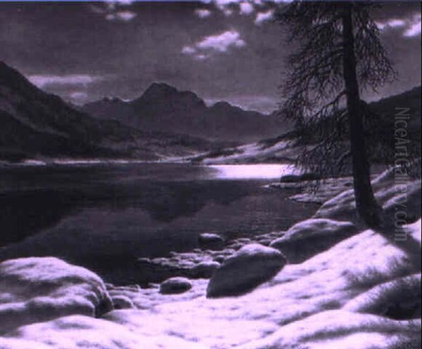 F,,rie Nocturne (suisse) - view 1