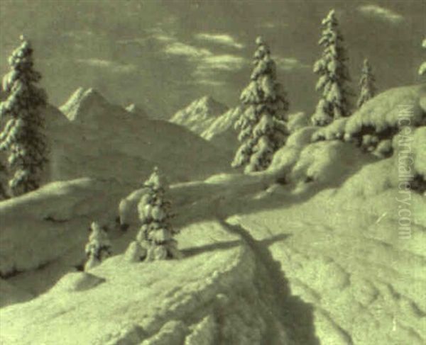 Snowy Path - view 1