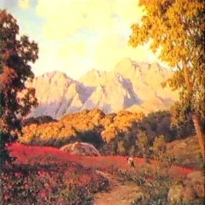 Landscape In Provence