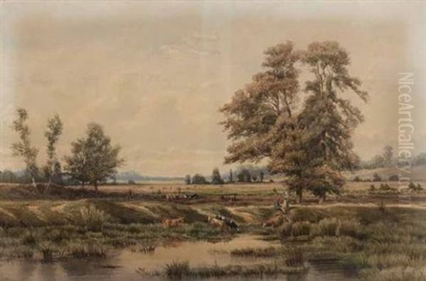 Vaches S'abreuvant En Bord De Riviere - view 1