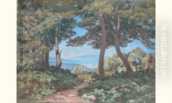 Chemin Vers Le Bord De Mer - view 1