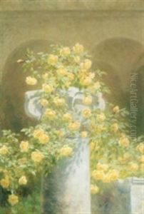 Growing Yellow Roses On A Column