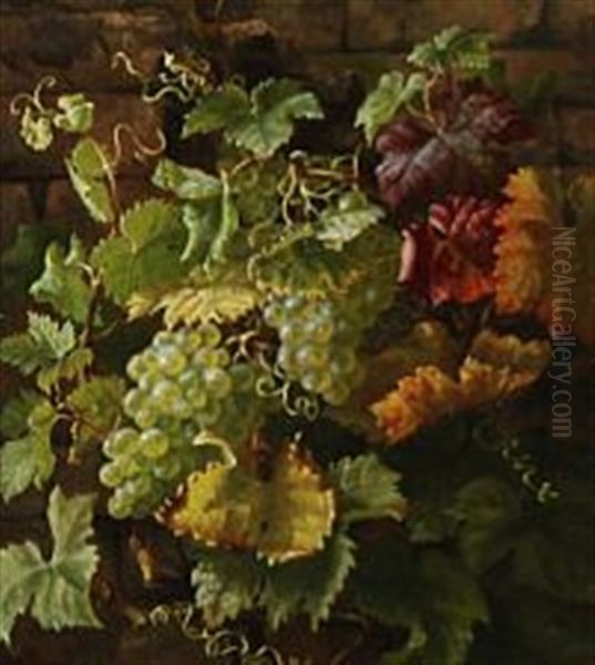 Grapes And Vines On A Wall - view 1