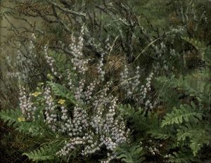 Kleines Wiesenstuck Mit Bluhender Heide Und Farnen