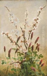 Ferskenblomster Og Kloverblomster