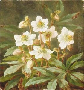 Christmas Roses by Anthonie, Anthonore Christensen
