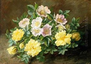 Yellow And Pink Flowers