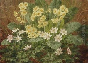 White Anemones