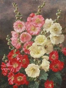 Flowering Hollyhocks