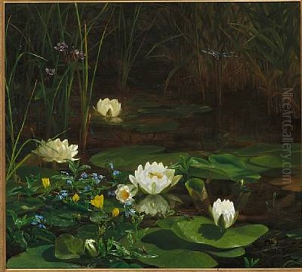 Forest Lake With Water Lilies In Bloom And Numerous Insects - view 1