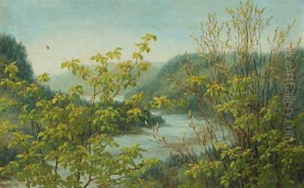 View From Conradshohe Over The River Isar - view 1
