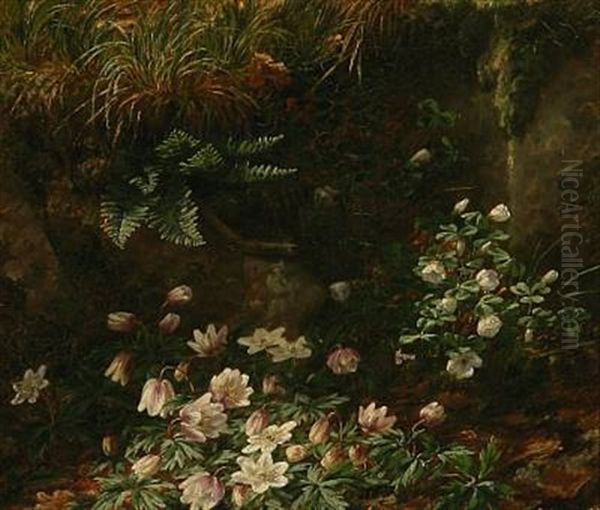Forest Floor With Anemones - view 1