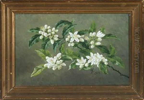 Branch In Bloom - view 1