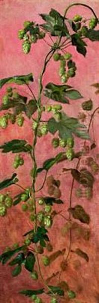 Hops In Bloom - view 1