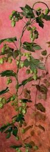 Hops In Bloom by Anthonie, Anthonore Christensen