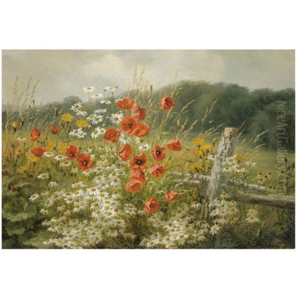 Poppies And Daisies - view 1