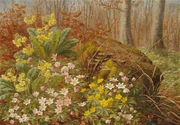 Blomstrende Skovbund - view 1