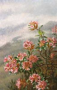 Blomstrende Kejserbusk, Alperne by Anthonie, Anthonore Christensen