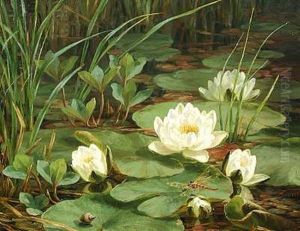 Hvide Akander I En So Med En Svaevende Guldsmed Og En Snegl Pa Et Akandeblad by Anthonie, Anthonore Christensen