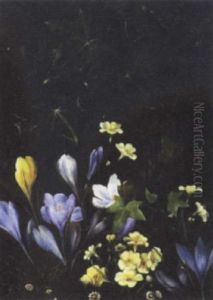 Skovbund Med Krokus, Bellis Og Efeu