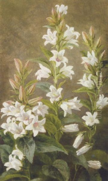 Blomstrende Hvide Liljer - view 1