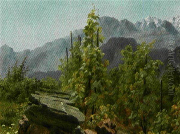 Vingard I Alperne Med Udsigt Over Bjergene - view 1