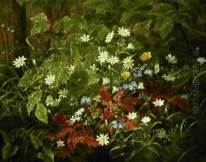 Skovbund Med Nyudsprungne Smorblomster, Skovfladstjerner Og Forglemmigej Skovbund Med Nyudsprungne Smorblomster, Skovfladstjerner Og Forglemmigej