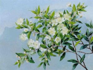 Blomstrende Frugtgren, I Baggrunden Den Blanende Bjerge