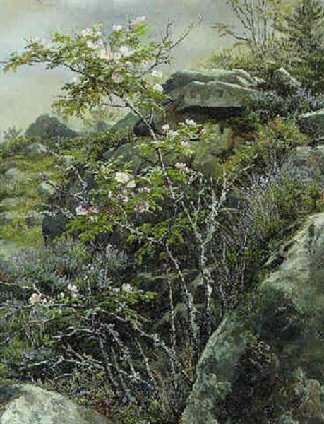 Hunderoser - view 1
