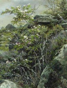 Hunderoser by Anthonie, Anthonore Christensen