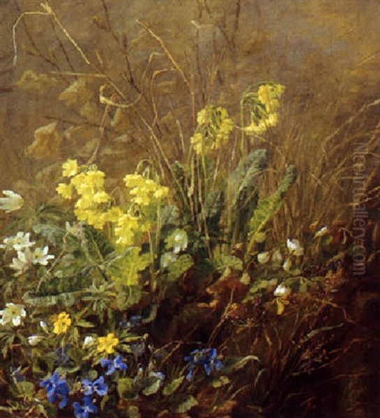 Skovbund Med Vilde Blomster - view 1