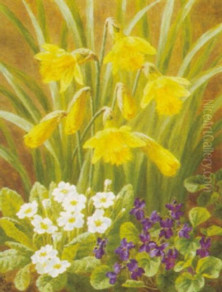 Forarsblomster, Opstilling Med Violer, Paskeliljer Og Primula - view 1