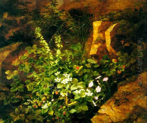Blackberries And Wild Flowers In A Rocky Landscape - view 1