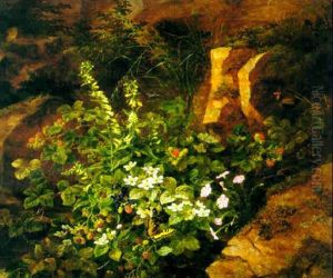Blackberries And Wild Flowers In A Rocky Landscape by Anthonie, Anthonore Christensen