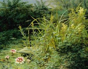 Ved Sobredden I Forgrunden Blomstrende Akander, Guldsmede Og Snegle
