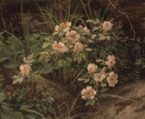 Teroser Og Vilde Blomster Imellem Sten Teroser Og Vilde Blomster Imellem Sten