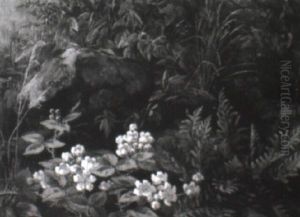 Skovbund Med Vilde Blomster